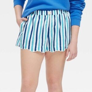 Women's Multi Stripe Poplin Boxer Shorts Blue - Roller Rabbit x Target XL